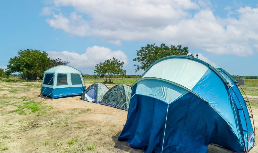 Weku Camping Tent